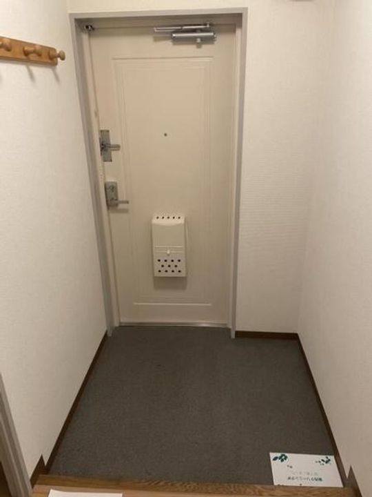 キャスパーハイツ28の玄関