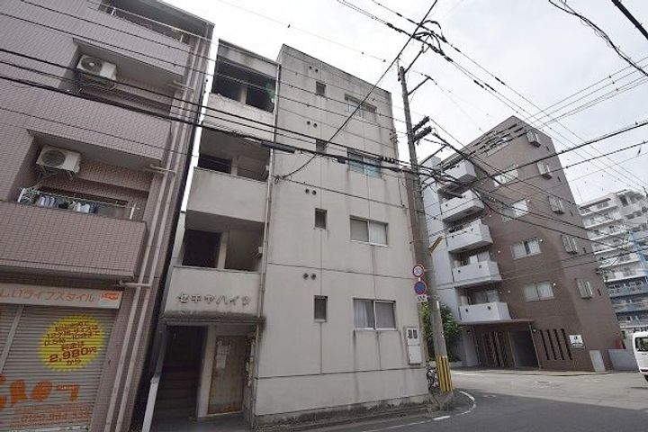 セキヤハイツの外観