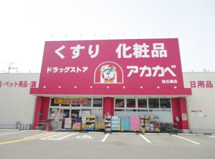大阪府枚方市桜丘町(一戸建)の賃貸物件の周辺