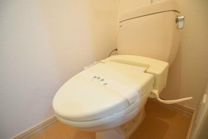 神奈川県伊勢原市板戸(アパート)の賃貸物件の内装