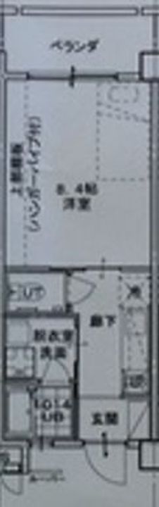 ARAHA SUNSETの間取り