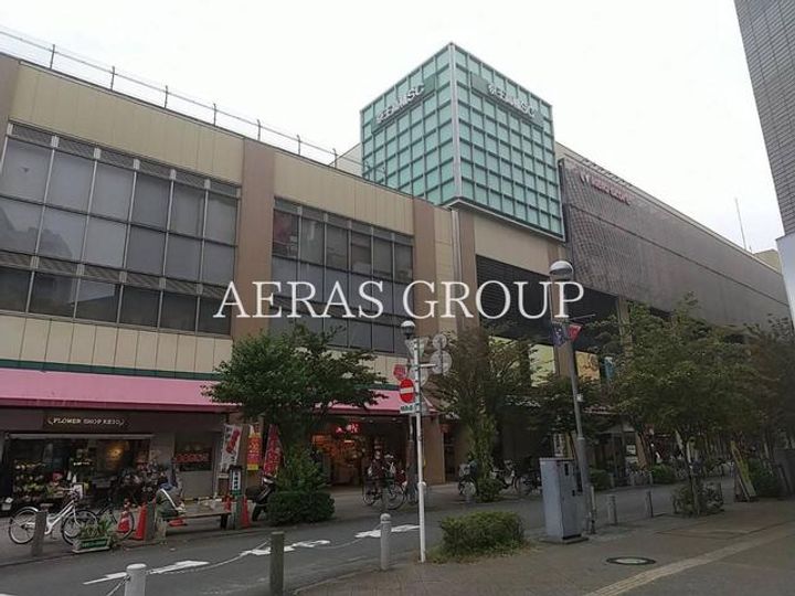 ドリームコート南平の周辺