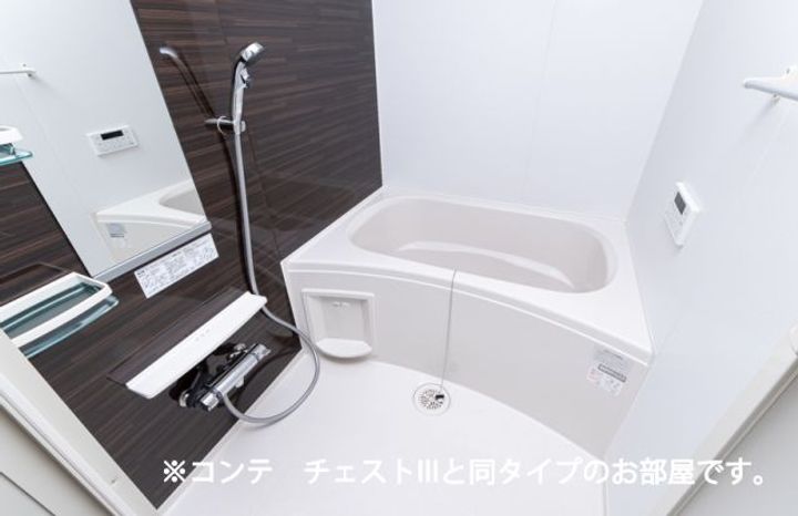 ラ ヴィーダ ヌエバの風呂