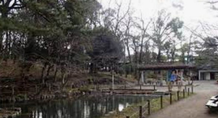 レーヴ田園調布の周辺