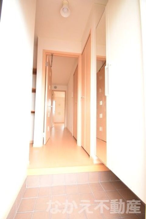 徳島県阿南市那賀川町中島(アパート)の賃貸物件の玄関