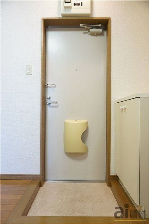 埼玉県富士見市水谷1(アパート)の賃貸物件の玄関