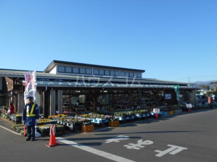 レオネクストオアシスの周辺