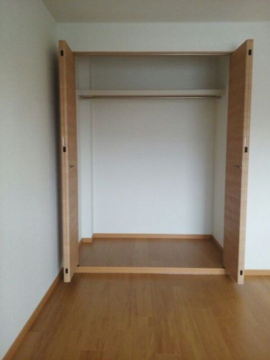 京都府久世郡久御山町佐古外屋敷(マンション)の賃貸物件の内装