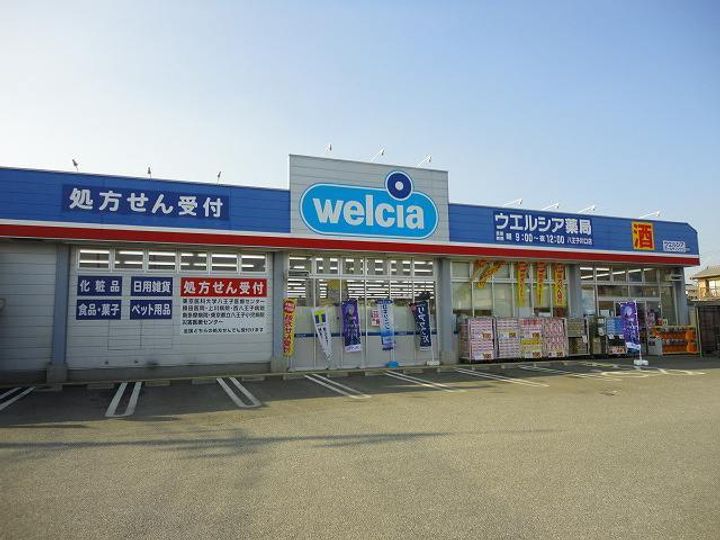 東京都八王子市川口町(アパート)の賃貸物件の周辺