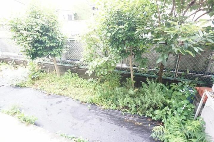 東京都杉並区下高井戸4(一戸建)の賃貸物件のその他画像