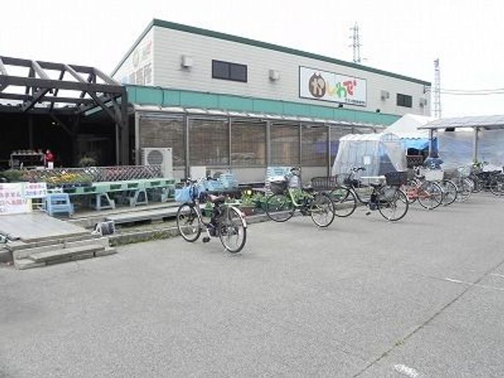 千葉県柏市高田(アパート)の賃貸物件の周辺