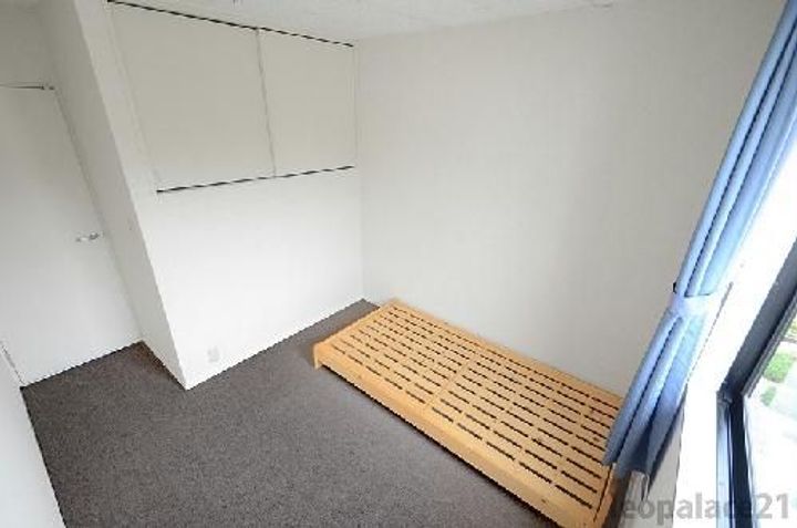 レオパレスラ・ベジブルのその他画像