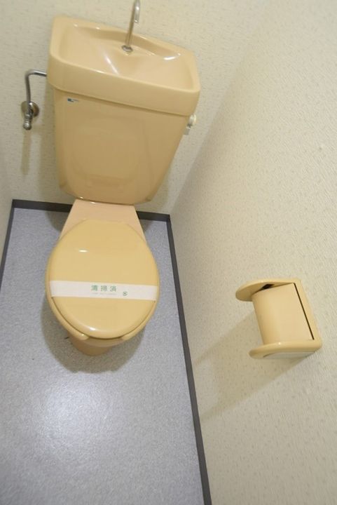 神奈川県厚木市温水(アパート)の賃貸物件の内装
