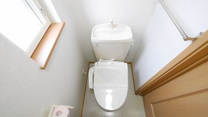 プラシードの内装