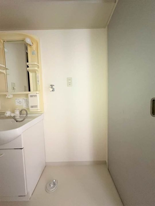 ヴィオラSIN Aのその他画像