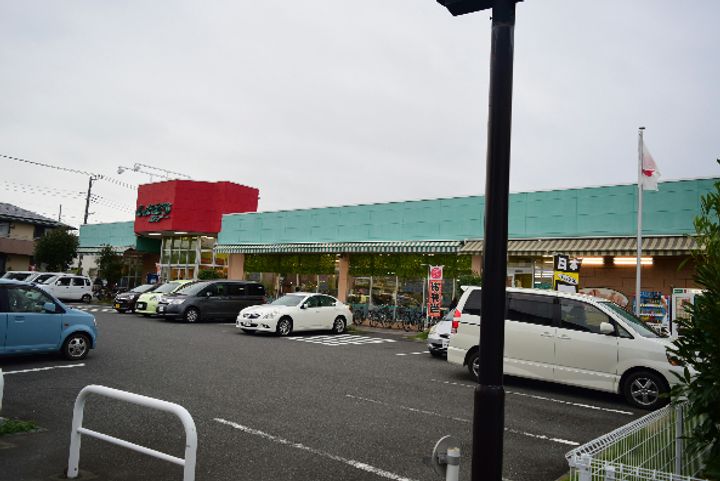 神奈川県平塚市中原1(アパート)の賃貸物件の周辺