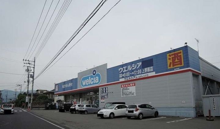 シャトーリオン VIの周辺