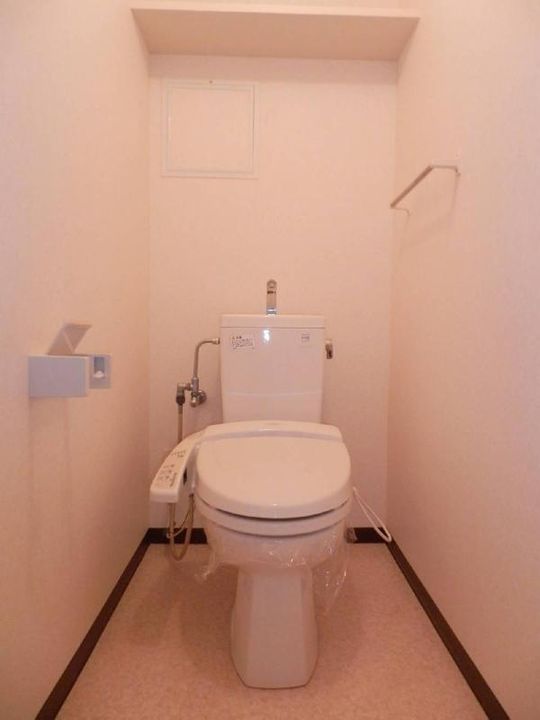 リージングマンション(2LDK)の内装