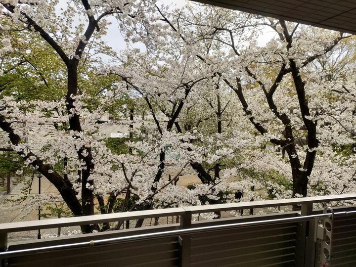 桜丘パークハウスのその他画像