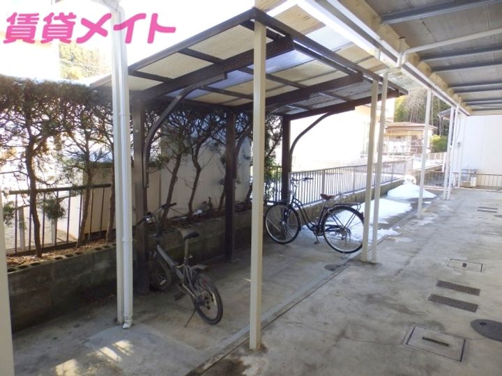 タウニーパインツリーの地図