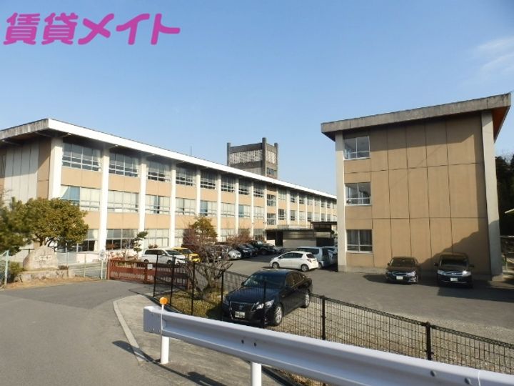 タウニーパインツリーの周辺