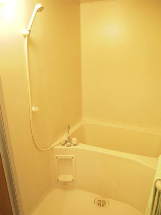 インポート久留米ルビーIIの風呂