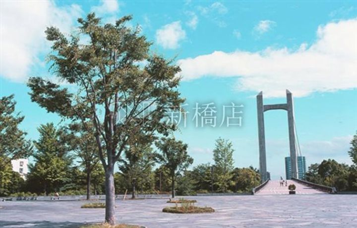 東京都江東区三好4(マンション)の賃貸物件の周辺