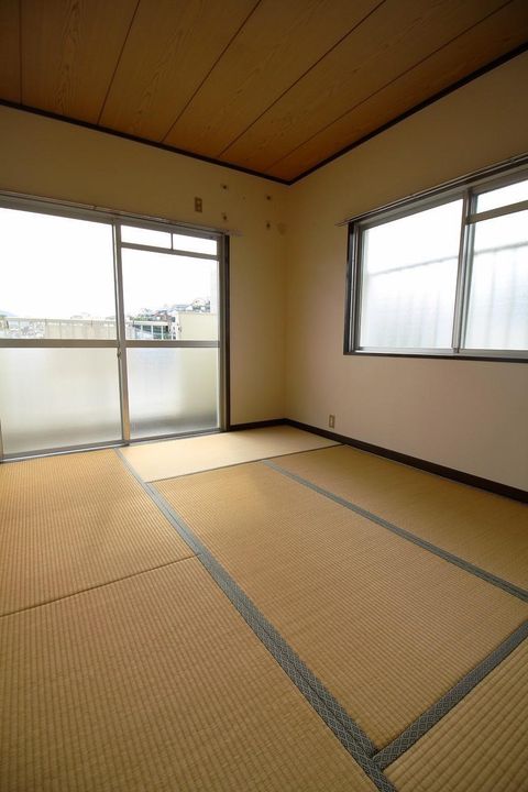 グリーン白鳥のその他画像