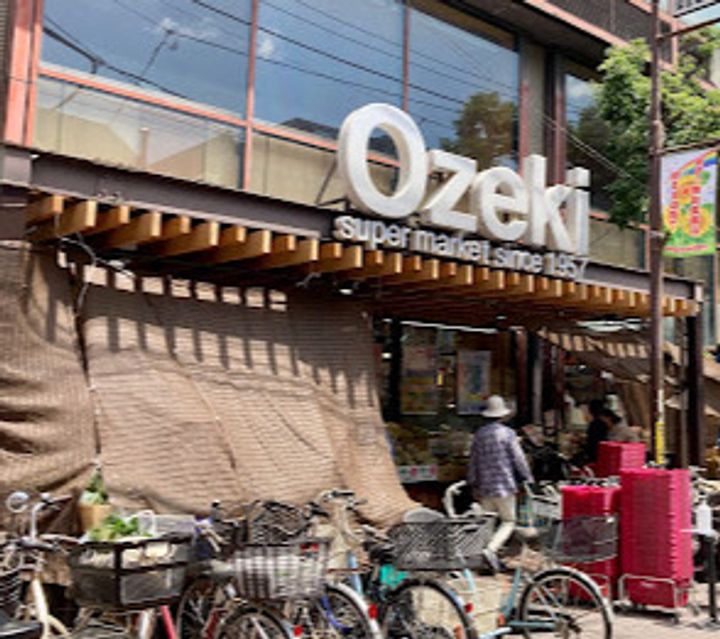 KDXレジデンス田園調布の周辺