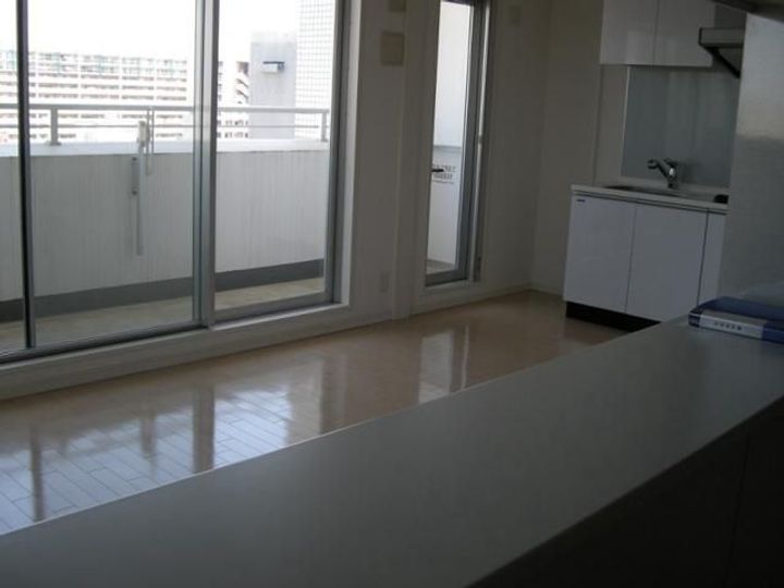 東京都墨田区錦糸1(マンション)の賃貸物件の居間