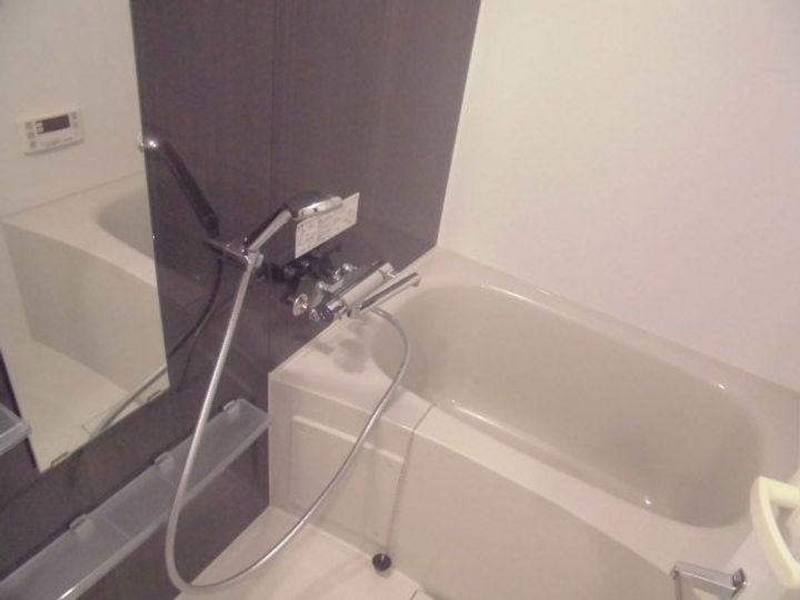 DIPS東十条の風呂