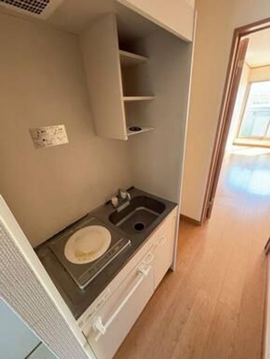 ティラーノ藍住II1号棟のキッチン