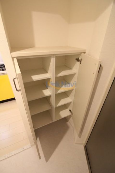 ビガーポリス224松ヶ枝町IIの玄関