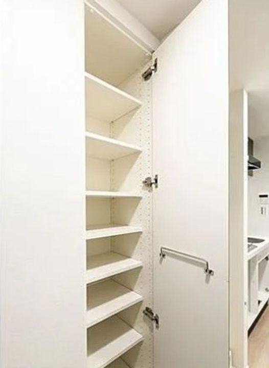 東京都中央区勝どき5(マンション)の賃貸物件の内装