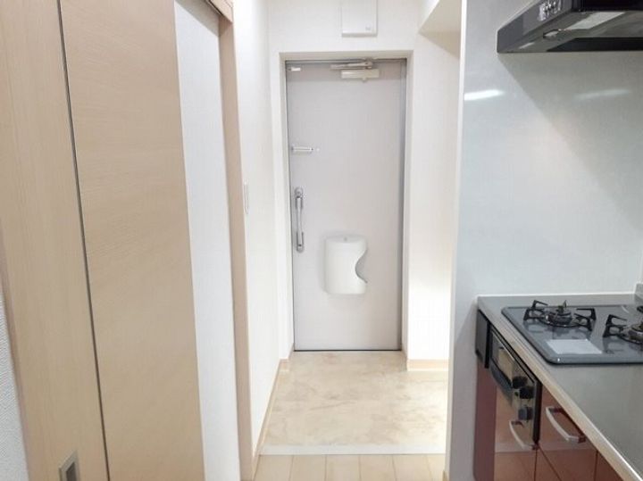 埼玉県八潮市大瀬5(マンション)の賃貸物件の玄関