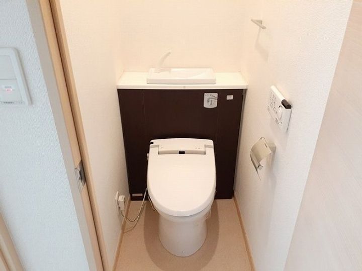 埼玉県八潮市大瀬5(マンション)の賃貸物件の内装