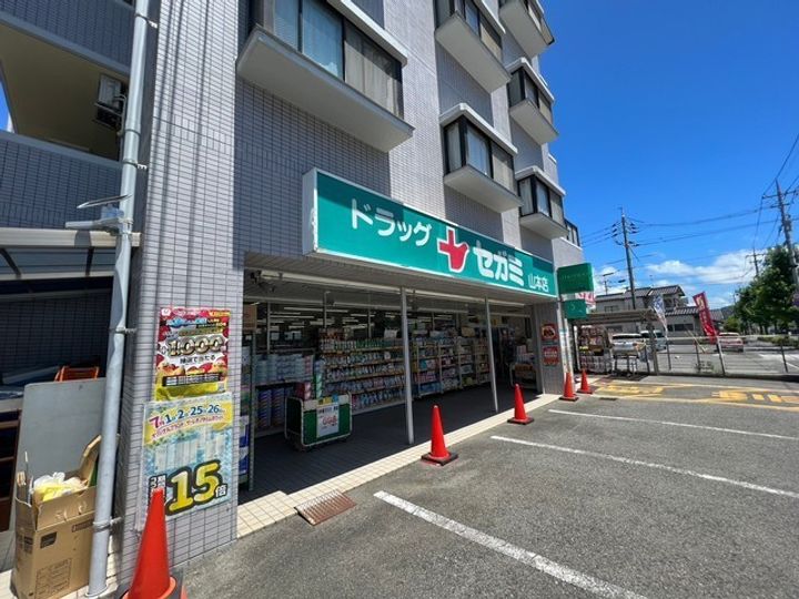スカイヒルズB棟の周辺
