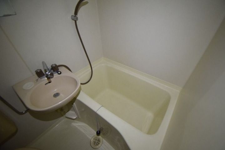 神奈川県厚木市下荻野(マンション)の賃貸物件の内装