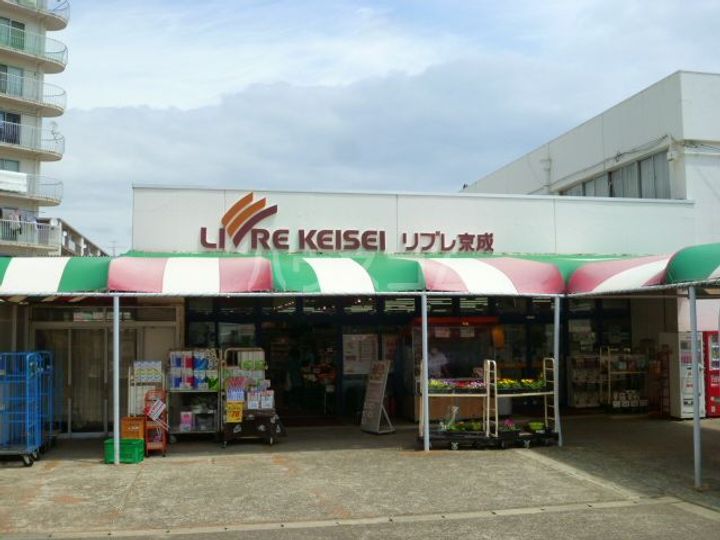 アベリアの周辺