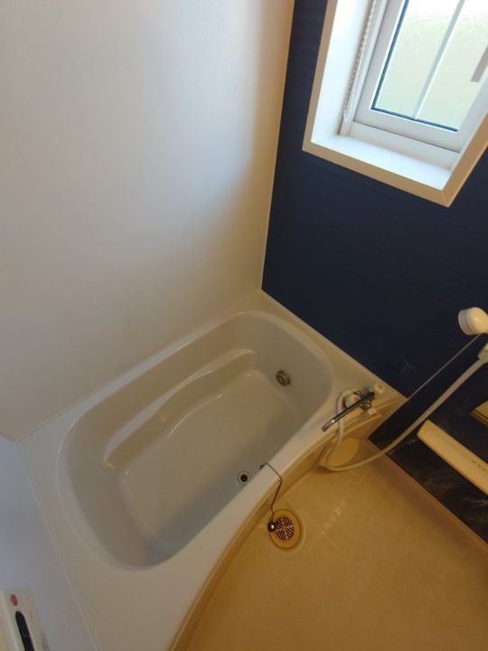 静岡県浜松市中央区根洗町(アパート)の賃貸物件の風呂