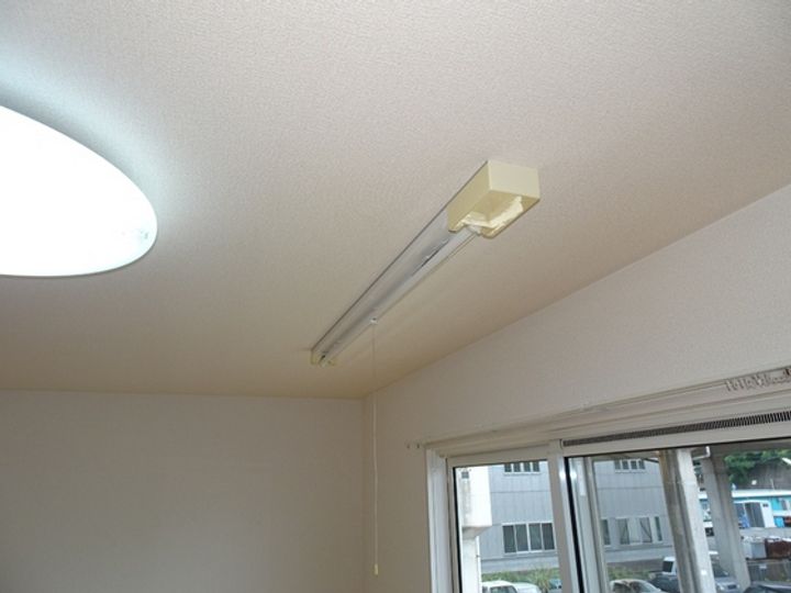 カラバッシュのその他画像