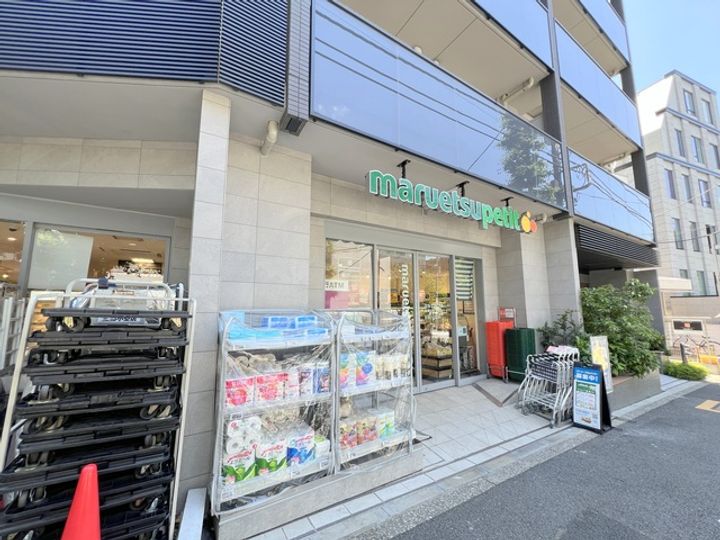 東京都渋谷区広尾3(一戸建)の賃貸物件の周辺