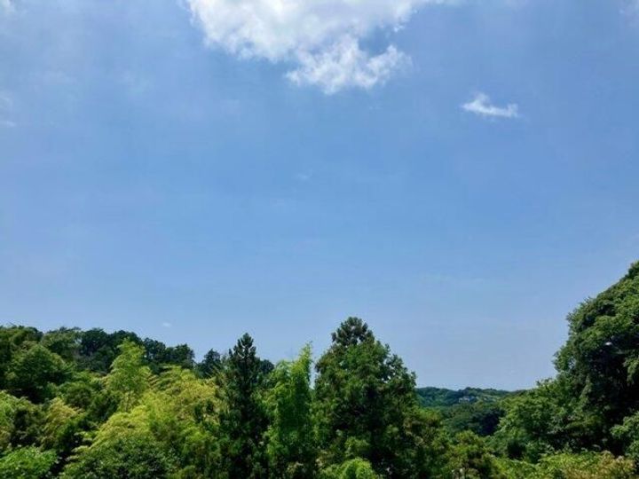 神奈川県鎌倉市山ノ内(一戸建)の賃貸物件のその他画像