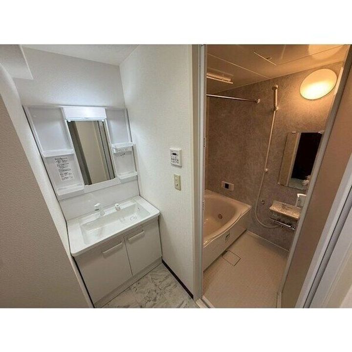 ナイスアーバン元今泉1302の内装