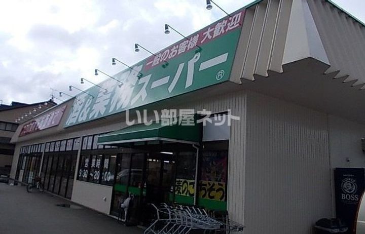 アレーヌシャトーIIの周辺