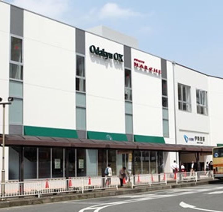 神奈川県伊勢原市伊勢原4(アパート)の賃貸物件の周辺