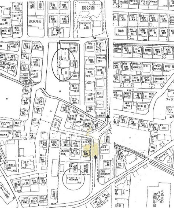 レティシア関 Iのその他画像