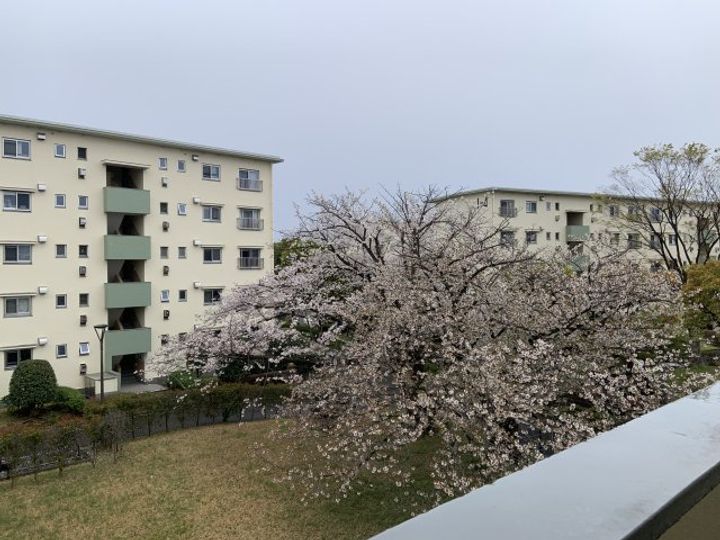 六ッ川台団地2-1号棟のその他画像