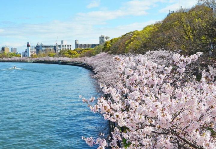 エル・セレーノ天満橋の周辺