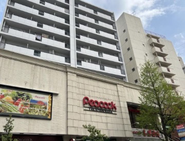 東京都新宿区高田馬場4(マンション)の賃貸物件の周辺